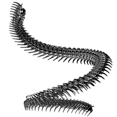 Chrome 3D element. Abstract array metal ridge, iron bones in cyber sigilism style, perspective objects. Transparent background