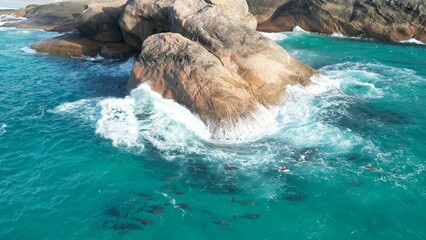 waves slamming on rock while spotting dolphins under the water