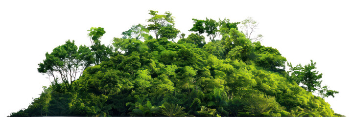 PNG Lush green tropical forest island