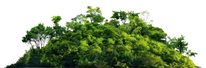 PNG Lush green tropical forest island