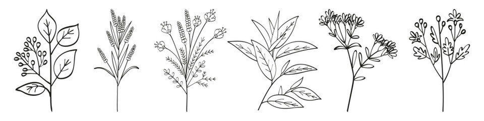 Set of autumn summer plant twigs with leaves and seeds, hand drawn with one line. Flat doodle style. Vector illustration.