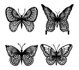 Set of 4 different butterflies in linear style illustration