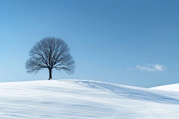 Obraz premium This picturesque image shows a single tree, devoid of leaves, standing amidst an untouched snowy landscape, emphasizing the stark contrast between the tree and the serene blue sky.