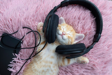 cute red kitten lying on his back listening to music with headphones on a pink soft pillow. comfort...
