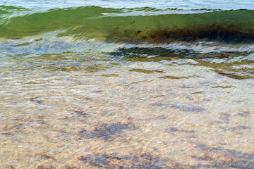 The surface of the transparent water surface, on which a small crest of waves from the ocean or sea with a dark green tint and algae torn off from the day moves. Mixing of seawater, cycle of tides
