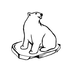 bear Vector