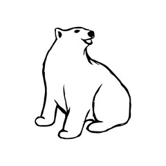 bear Vector