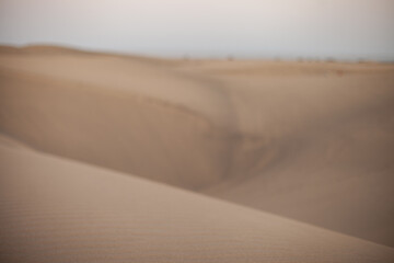 blurred sand dunes in the desert, Maspalomas travel destination at Gran Canaria, Canary Islands, Spain. Beige neutral earthy color palette.