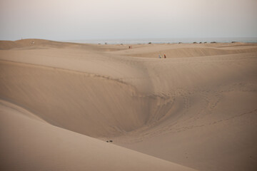 sand dunes in the desert, Maspalomas travel destination at Gran Canaria, Canary Islands, Spain. Beige neutral earthy color palette.