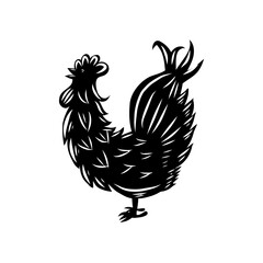 cock Vector