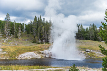 Geyser Eruption at Yellowstone National Park