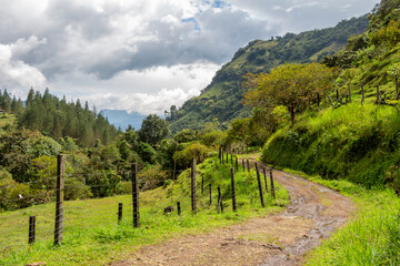 Fototapeta premium Path in the Andes Mountains, lush forest, green vegetation. Jardin, Jardín, Antioquia, Colombia. Mototaxi.
