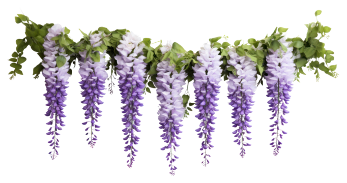 PNG Lavender wisteria floral garland decor