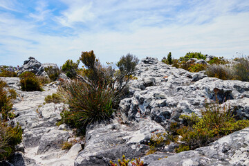 Eine Reise durch Südafrika. Kapstadt und  Umgebung.