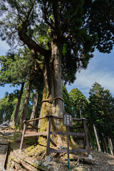 Fototapeta premium 身延山久遠寺 - 奥之院思親閣