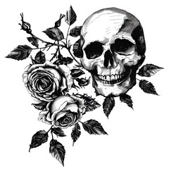 Fototapeta premium Black and white Vintage engraved art of a dark roses and skull, isolated on white background, ink sketch illustration, simple vector art design, highly detailed line art, high contrasty