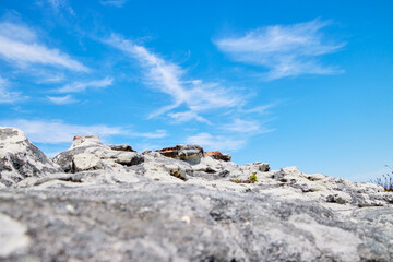 Eine Reise durch S&uuml;dafrika. Kapstadt und  Umgebung.