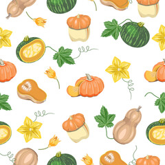 Seamless autumn pattern of different varieties of pumpkin with flowers and leaves on a white background.Vector pattern for autumn designs,textiles,packaging, screensavers.