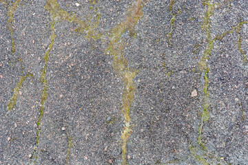 Flat hard stone surface streaked with moss, for use as abstract backgrounds and textures.