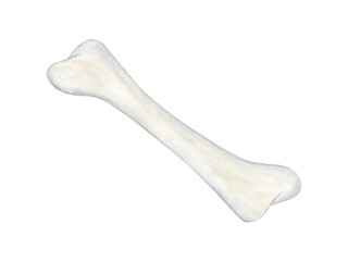 Watercolor clipart of a bone. High quality illustration for a scary Halloween night. Medicine anatomy illustration.