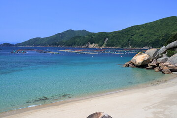 高知県柏島の白浜海岸　初夏