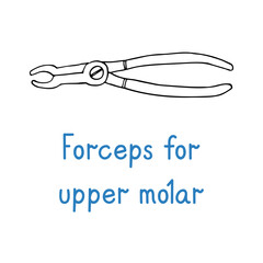 Forceps For Upper Molar - hand drawn dental instrument