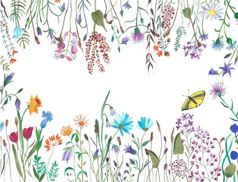pattern with flowers and butterflies