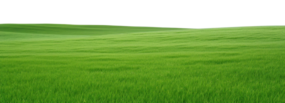 PNG  Serene green field under sky