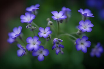 Jacobs ladder flower vibrant bokeh background, AI Generated