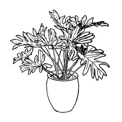 hand draw sketch of tree plant planter pen drawing for interior design Potted plants