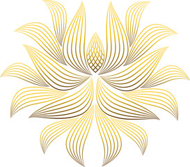 beautiful golden flower petal