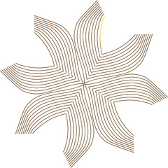 beautiful golden flower petal