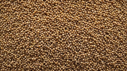 Fototapeta premium Close-up of brown pea seeds, natural texture background.