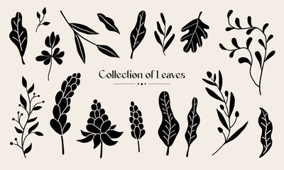Set of flower and tropical leaf vector illustration.