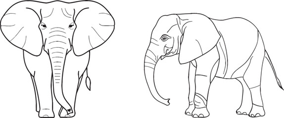 Single line art of standing elephant walking. Modern illustration of an elephant in all its glory.