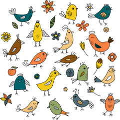 Colorful doodle birds and flowers