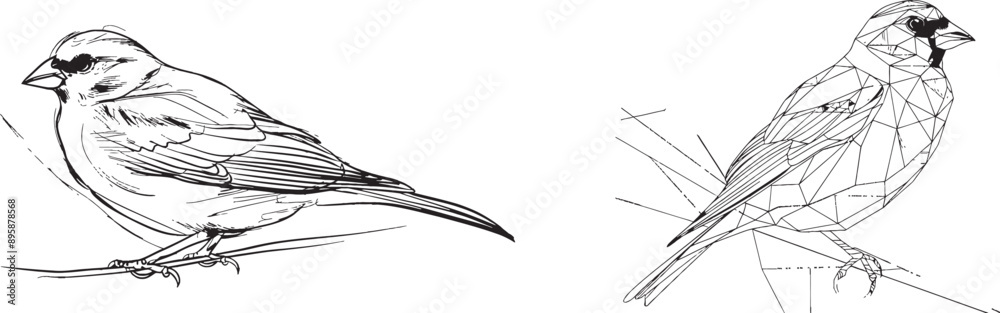 Poster isolated white background with a single line drawing of a bullfinch. modern illustration.