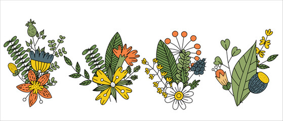 Colorful wildflower floral vector compositions
