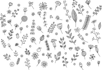 Hand-drawn wildflowers and leaves set