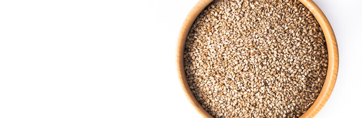 Rolled oats, healthy breakfast cereal oat flakes in bowl isolated on white background. Panorama view