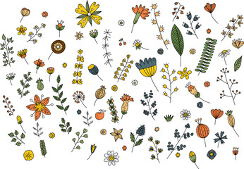 Bright stylized flowers and plants set