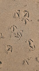 footprint in sand
