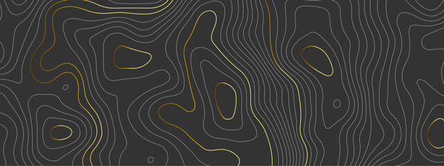 Background of the wavy topographic map background. Topography relief and topographic map wave black and golden luxury line contour background. Geographic abstract grid.