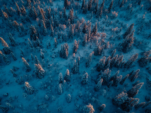 Aerial view of Winter Forest in Ringebu, Norway