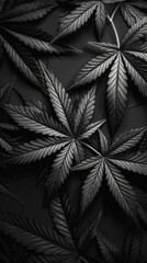 Monochromatic black cannabis leaves background with intense dramatic lighting