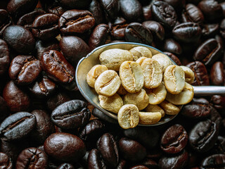 Top view green coffee bean on a stainless steel spoon on roasted coffee bean  background, Close-up, Close-up of unroasted coffee bean