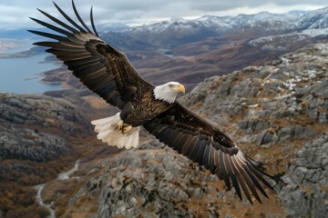 A powerful eagle with outstretched wings soars gracefully over a rugged mountain terrain, symbolizing freedom, strength, and determination in a majestic natural setting.