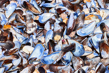 Eine Reise durch Südafrika. Kapstadt und  Umgebung. Strukturen am Strand.