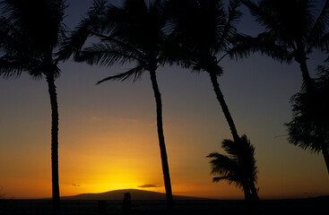 sunset in Maui Hawaii