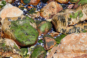 Eine Reise durch Südafrika. Kapstadt und  Umgebung. Strukturen am Strand.